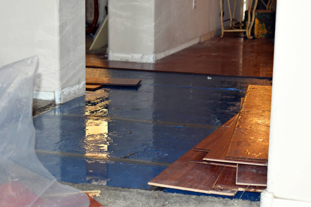 Professional Basement Flood Cleanup technician working in Brownville, ME